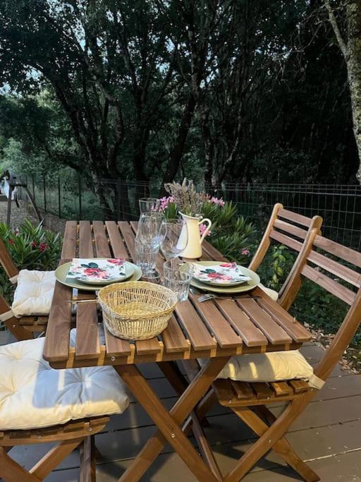Les Chenes Verts Proche Gorges De L'ardeche Appartement